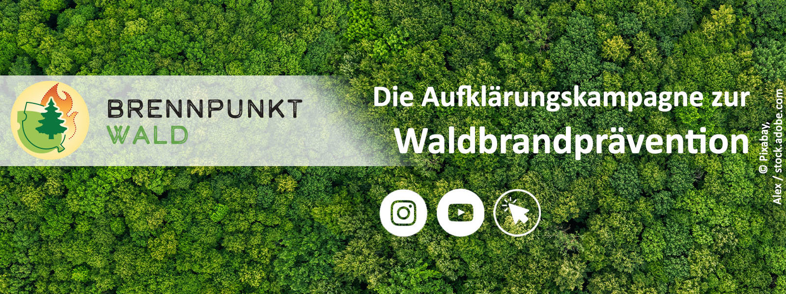 Baumkronen von oben. Foto: Pixabay, Alex / stock.adobe.com