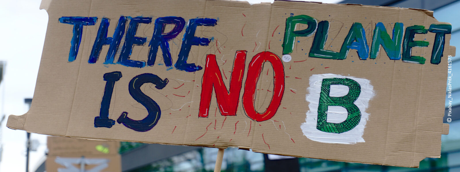Schüler mit Schild protestieren für Klimaschutz. Foto: Pixabay