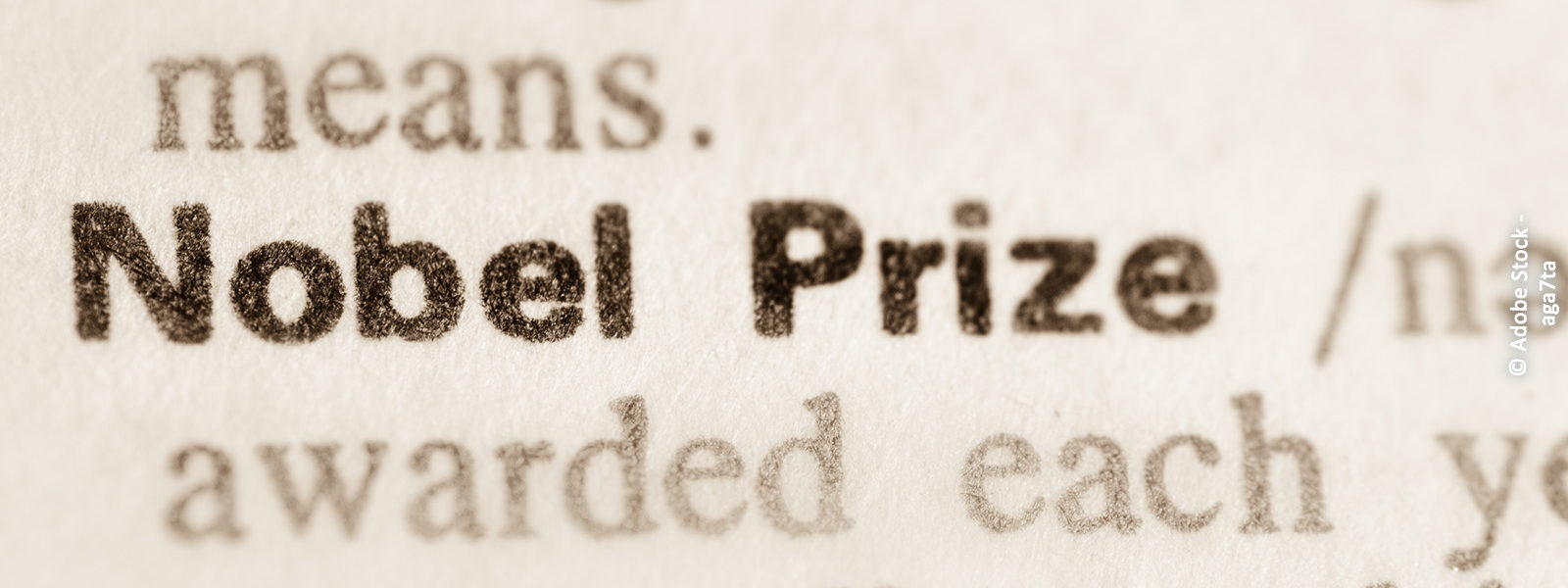 Schriftzug